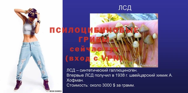 мдпв Балабаново