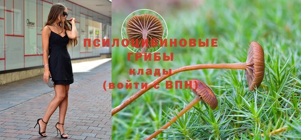 мдпв Балабаново